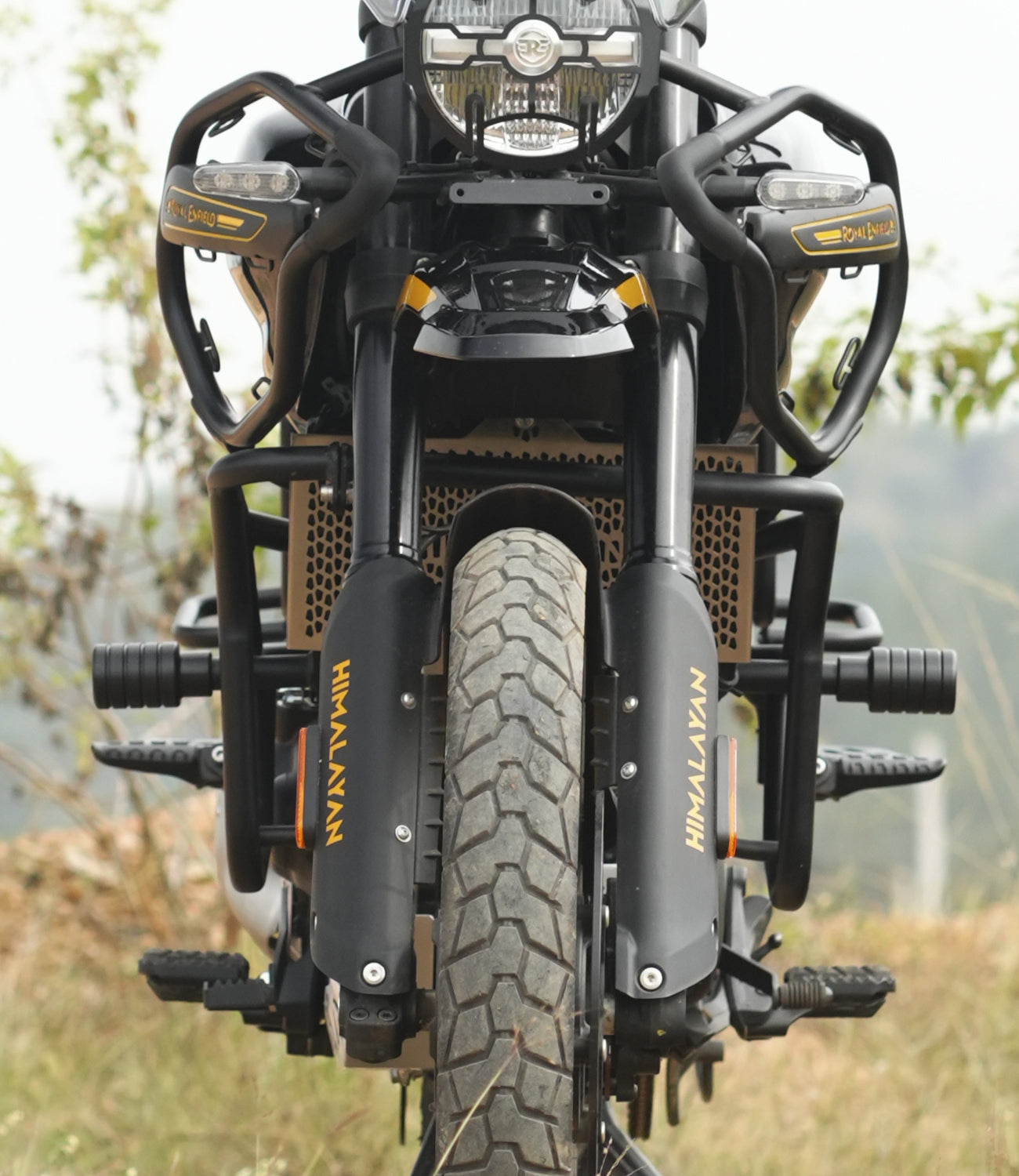 Moto Torque Himalayan 450 - Panther Crash Guard