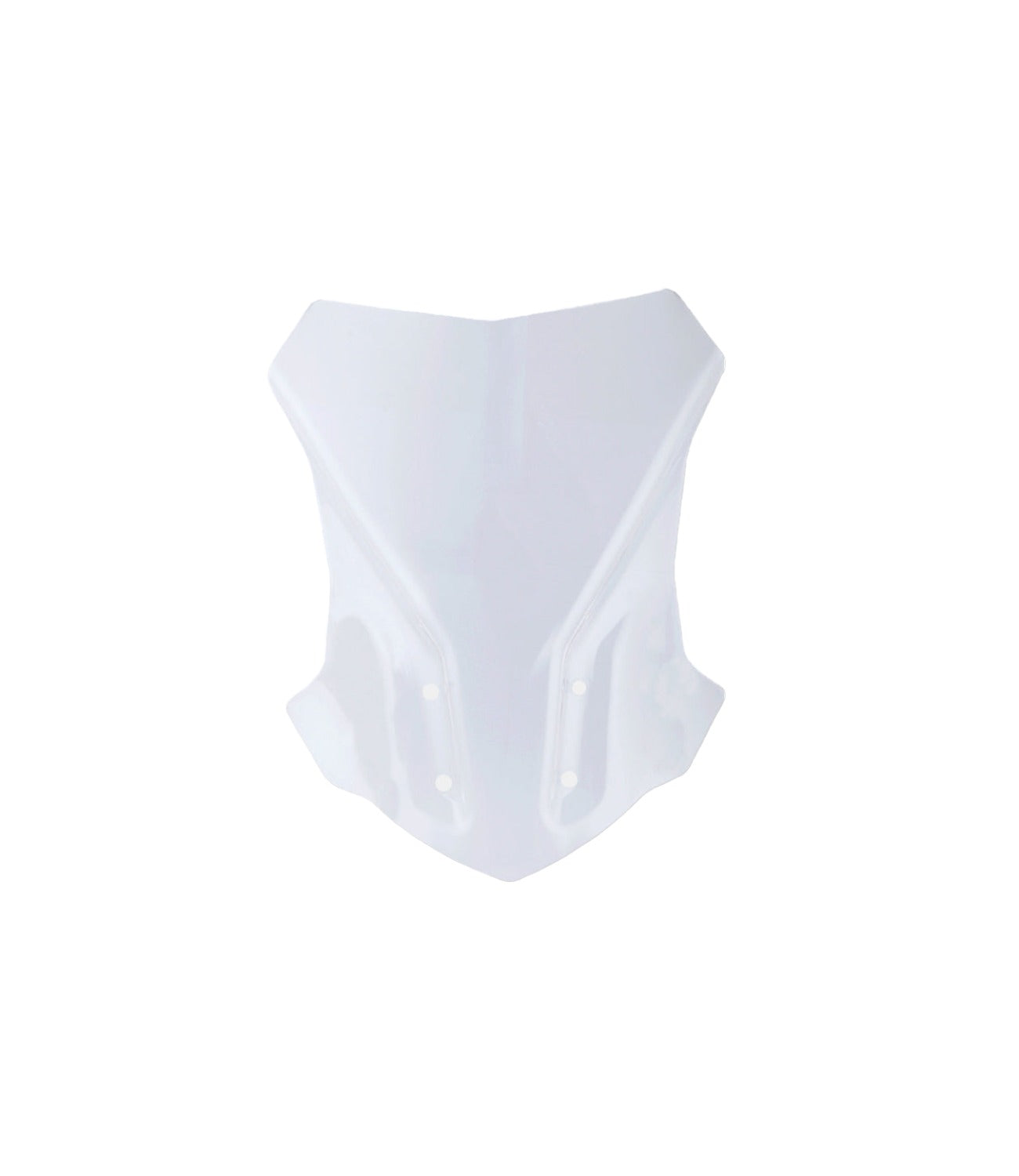 BMW G310 GS Touring Windshield